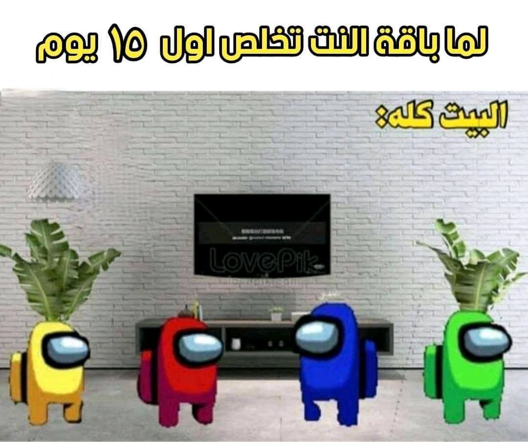 Drdevvl's tweet photo. #نت_لا_محدود_لمصر https://t.co/zwItsE6Jnc