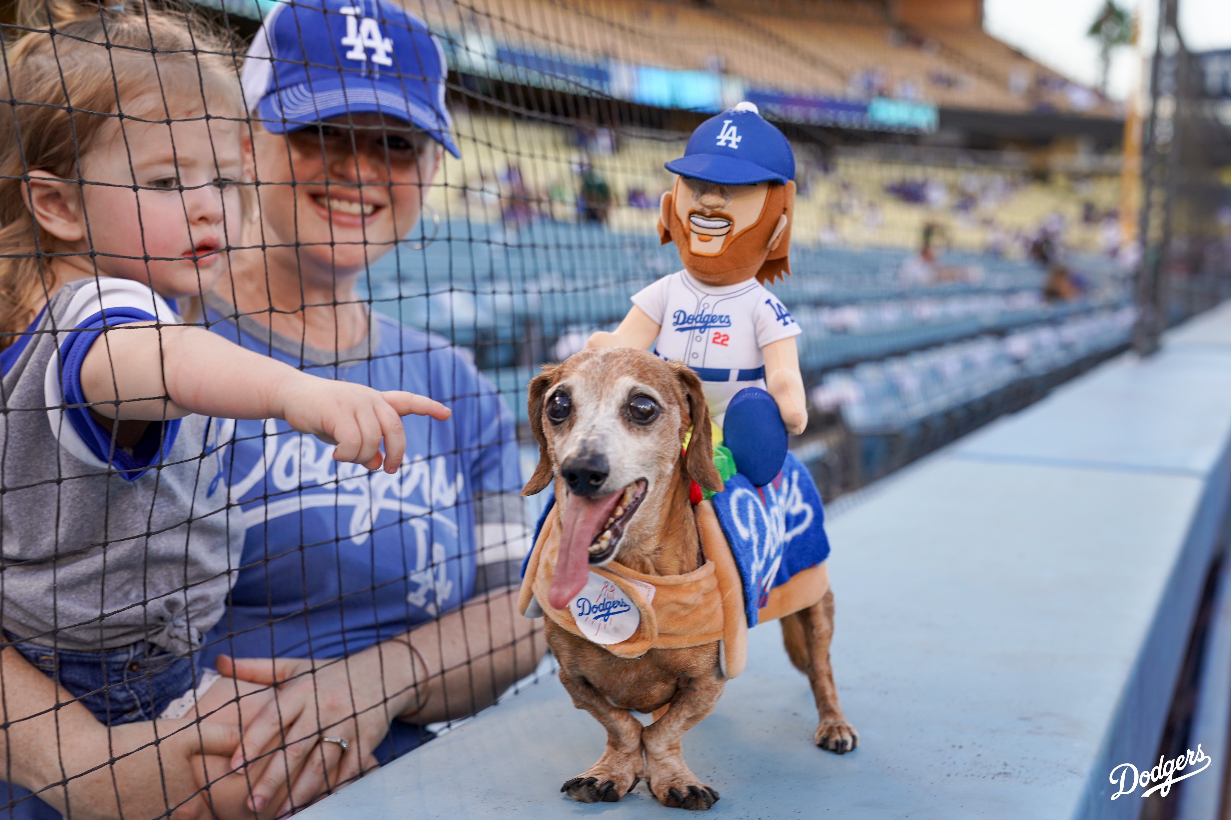 Los Angeles Dodgers on Twitter "It’s Pups at the Park presented by