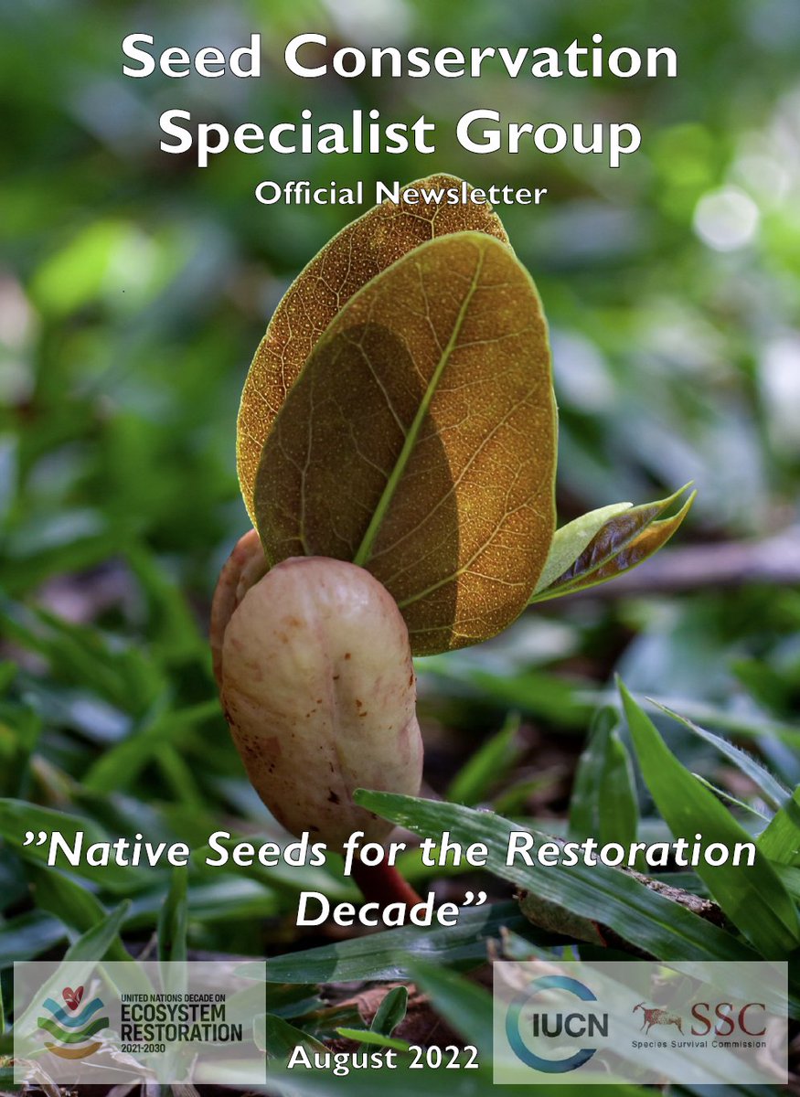 IUCN Seed Conservation Specialist Group (@iucn_seeds) on Twitter photo We're excited to share our special issue of the <a href="/IUCNssc/">IUCN Species Survival Commission</a> Seed Conservation Specialist Group's Newsletter: Native Seeds for the Restoration Decade. Many thanks to our editorial committee & contributors. seedconservationsg.org/newsletter
#seedconservation #seeds #seedbanking We're excited to share our special issue of the <a href="/IUCNssc/">IUCN Species Survival Commission</a> Seed Conservation Specialist Group's Newsletter: Native Seeds for the Restoration Decade. Many thanks to our editorial committee & contributors. seedconservationsg.org/newsletter
#seedconservation #seeds #seedbanking