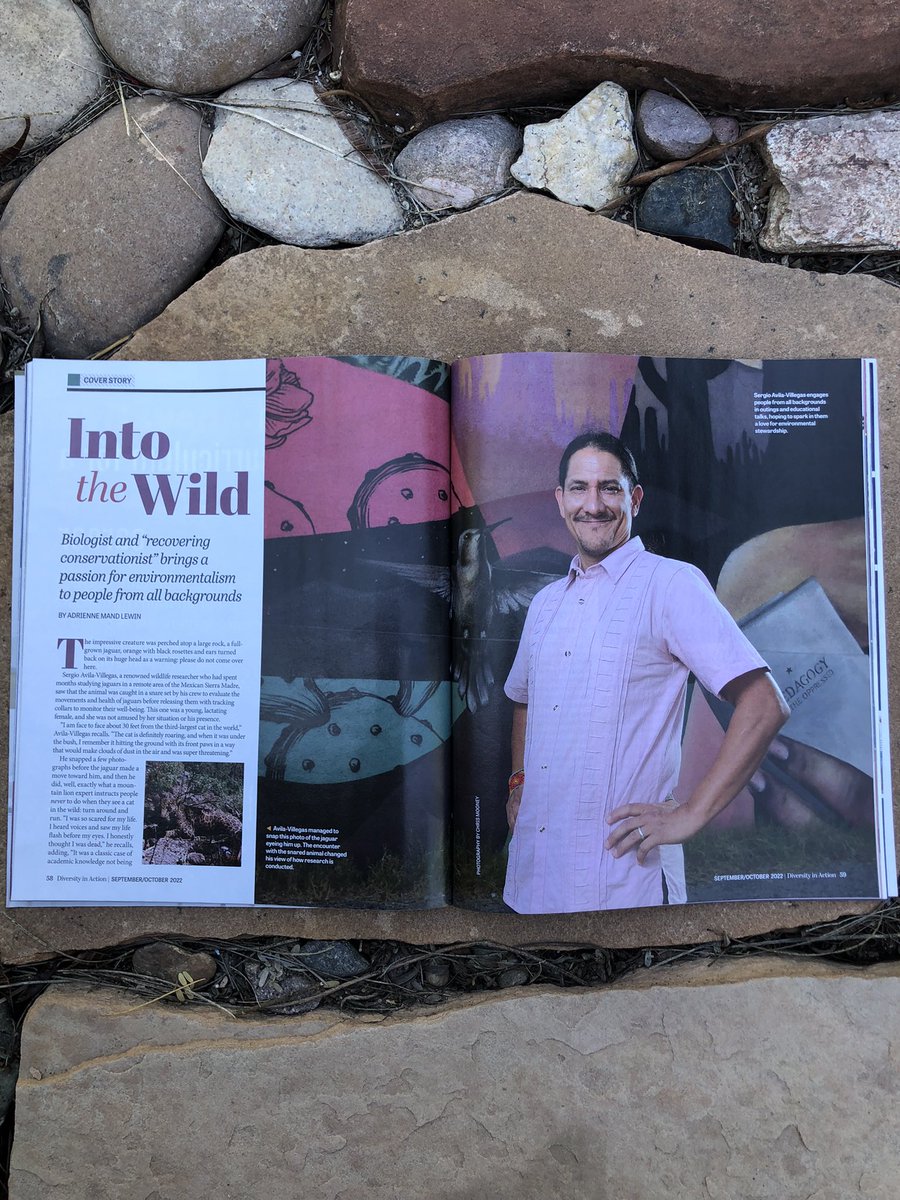 Sergio_concolor's tweet photo. “Into the wild” is the #coverstory in @Divinaction Sep/Oct Issue. This is my story from growing up in #Zacatecas 🇲🇽 dreaming to become a big cat biologist to studying #jaguars 🐆 to running to raise awareness abt social-environmental justice

#NatureHasNoBorders #legsforlandback https://t.co/zzoLuD8nTL