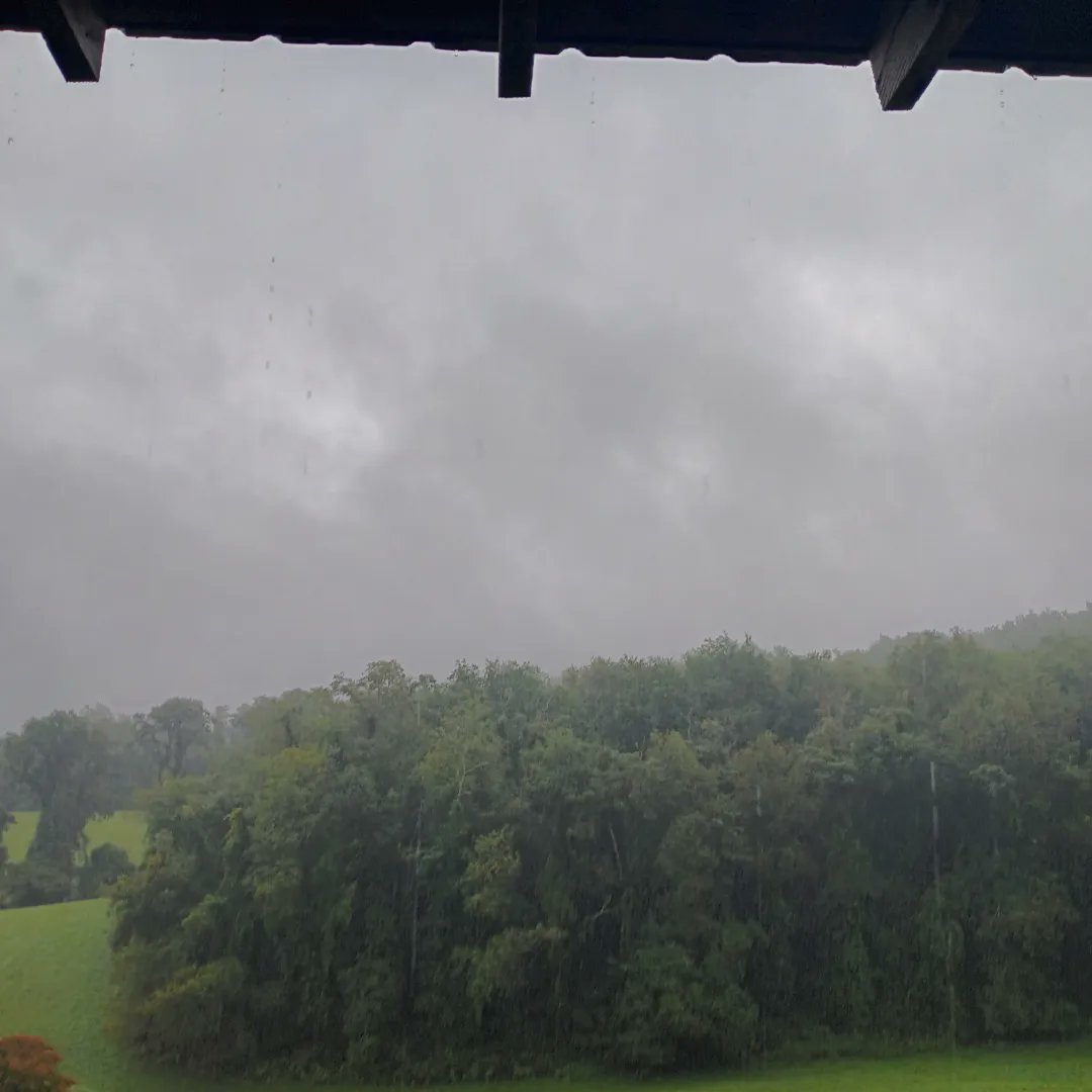 TheClayDowning's tweet photo. I don't want to go home and weather like this makes really makes me not want to leave
#spartanc #sparta #rainraingoaway #idontwanttogohome #ram #crappydrive #nofun #porchlife #cabinlife https://t.co/2xTcqzxvu1