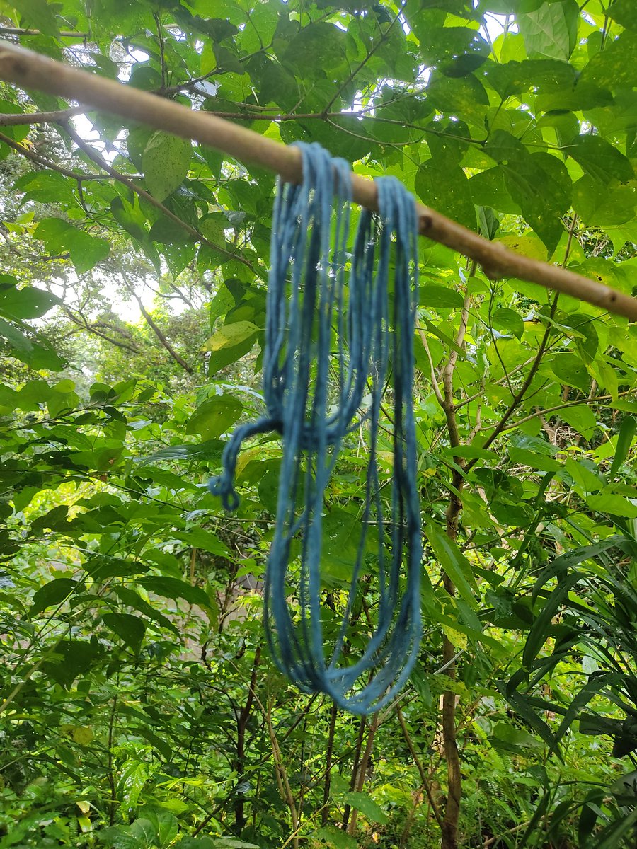 お京〈工房そらのあお@屋久島〉 tweet media