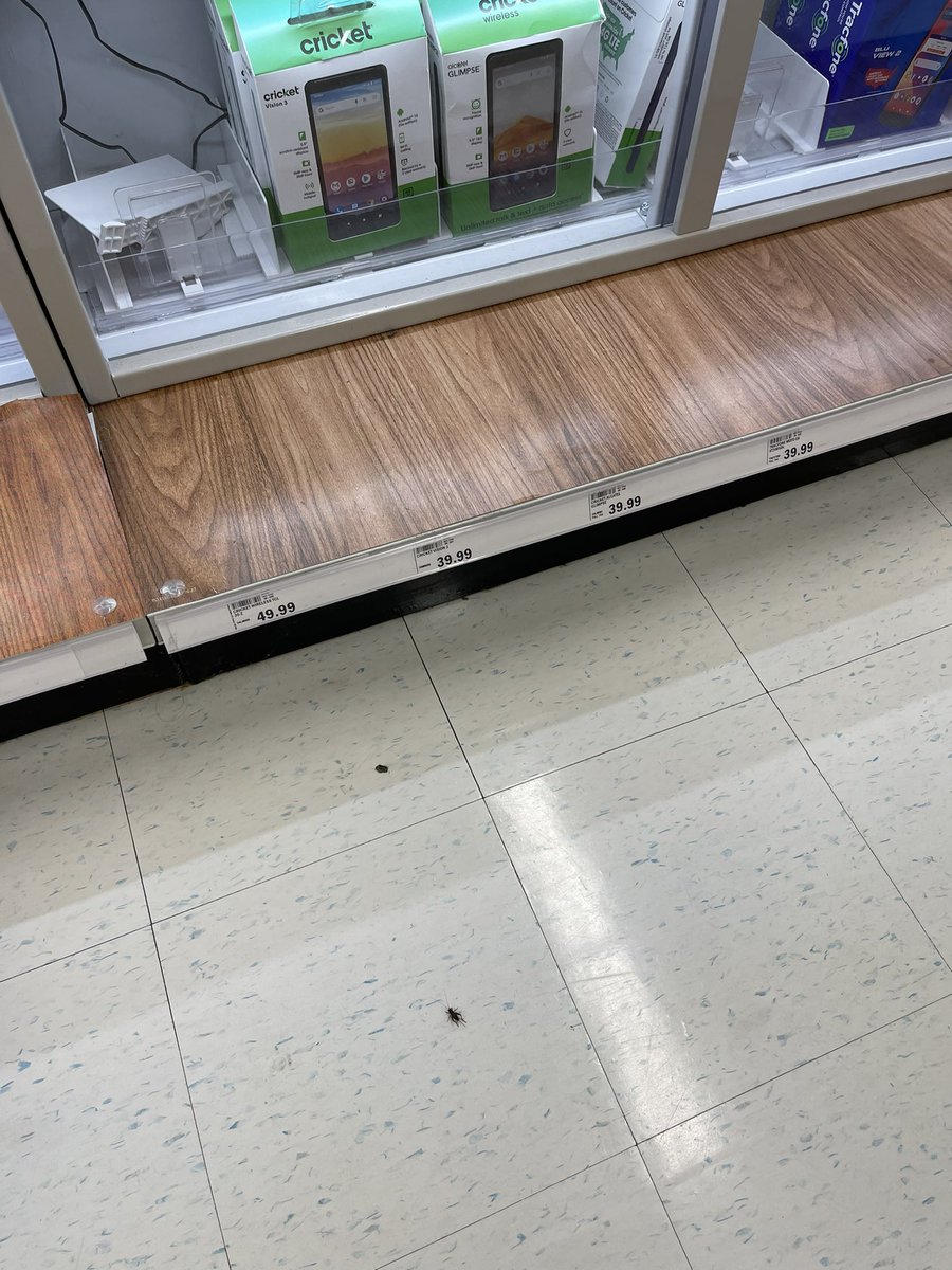 Hey <a href="/Cricketnation/">Cricket Wireless</a> - I saw a cricket shopping for #cricketwireless products today at <a href="/meijer/">Meijer</a>. 🦗 📱 I wonder how he plans to carry it around though?