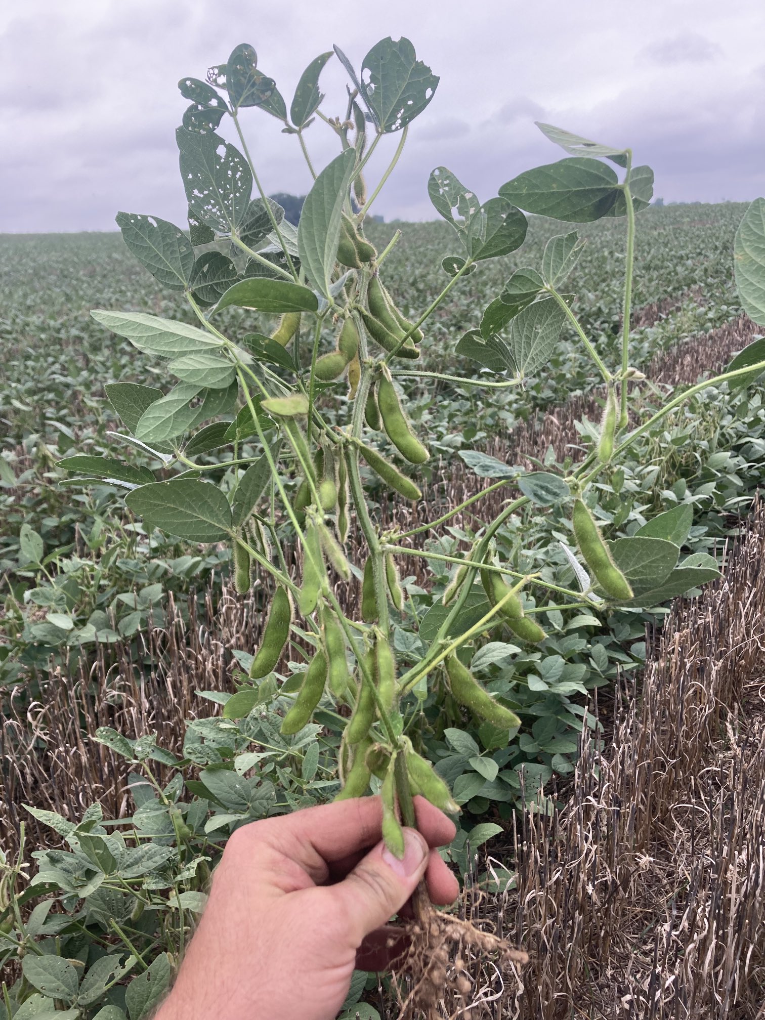 Tim Boring on Twitter: