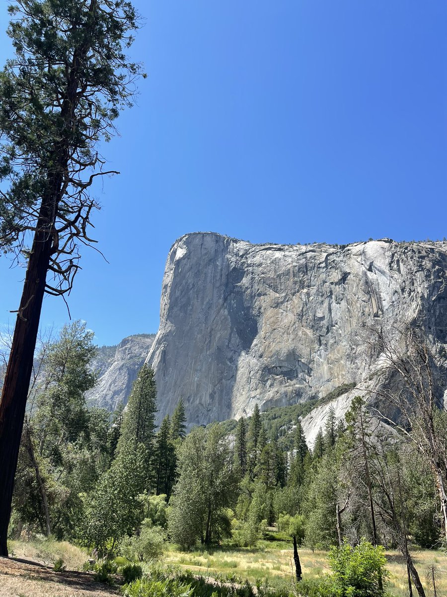 knorse5's tweet photo. take me back to Yosemite &amp; the mountains 😍 https://t.co/Hx1vDhFftC