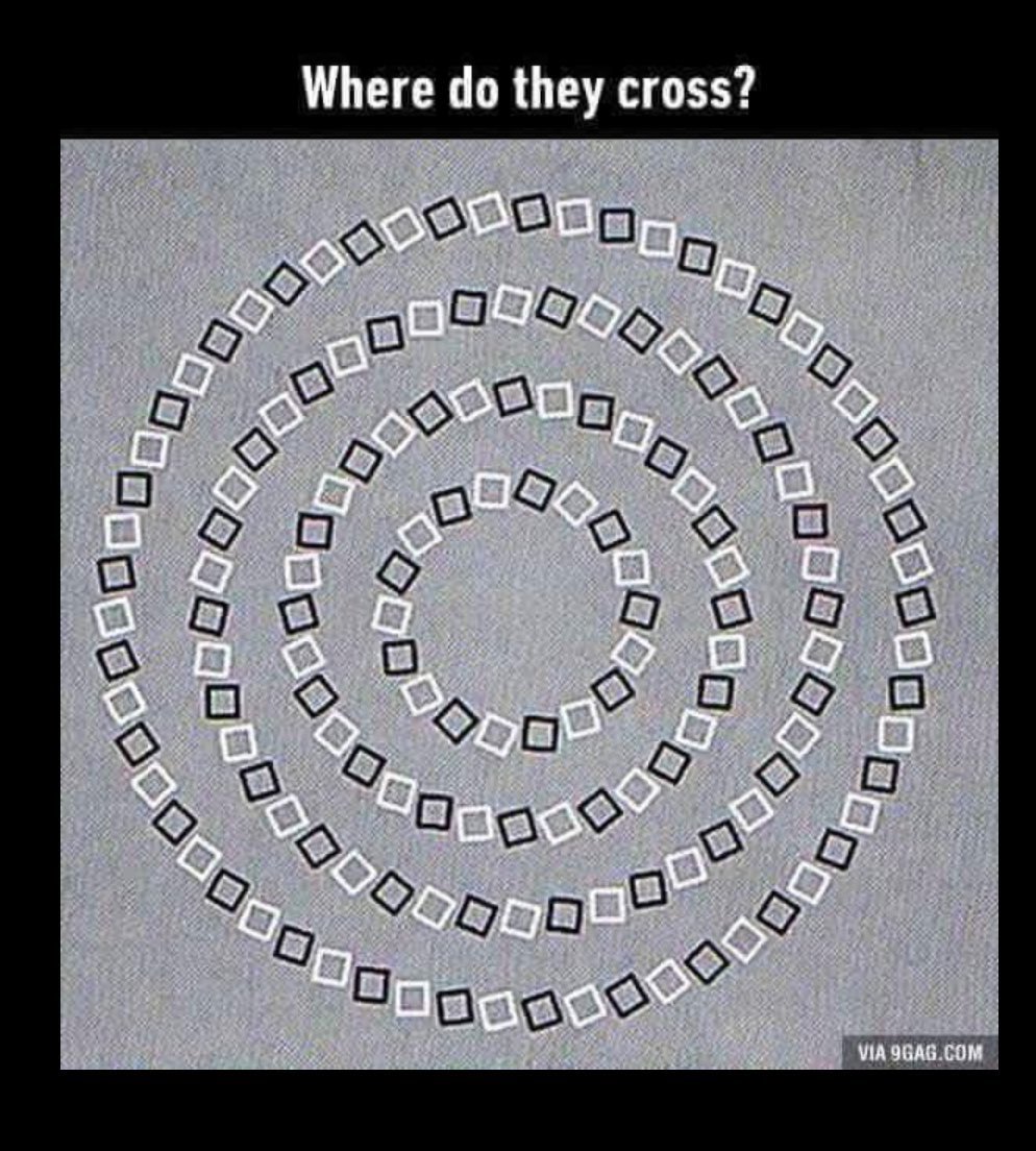 Larry Kim tweet media