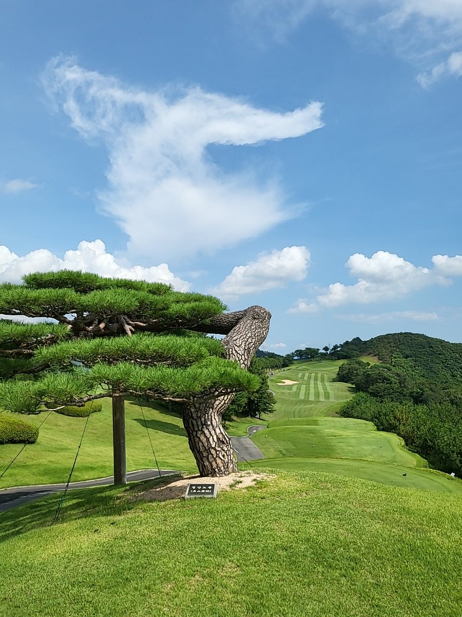 #섹
 20억 짜리 야릇한 소나무