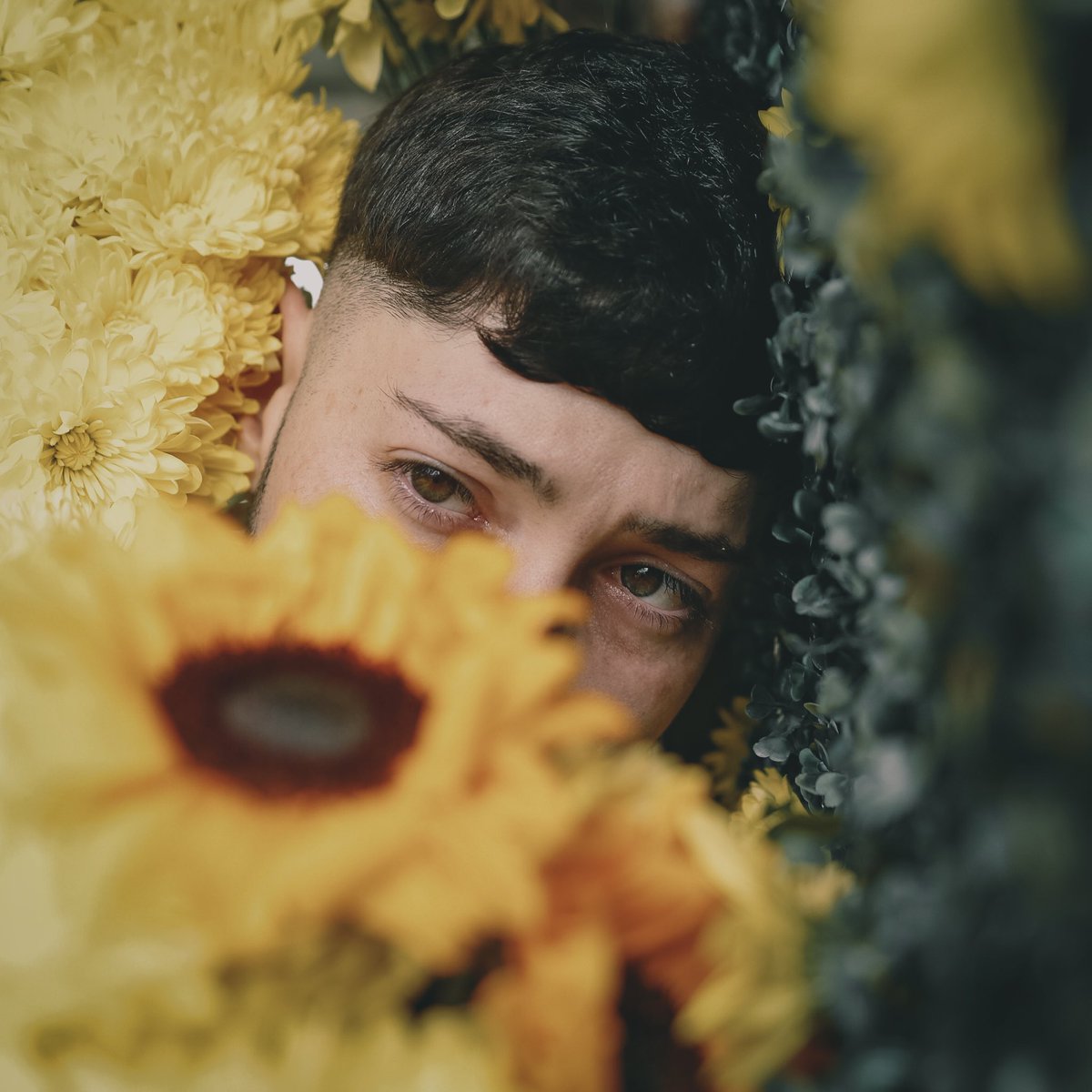 AdamesKv's tweet photo. 🌻 https://t.co/xhsYUrg9jM