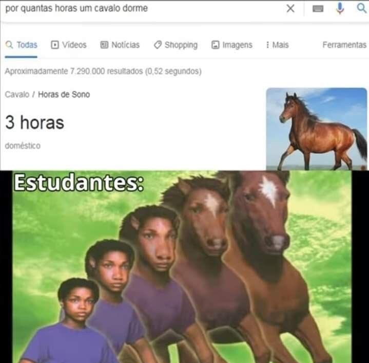 shitpostverdade's tweet photo. https://t.co/YCsimuF7V9