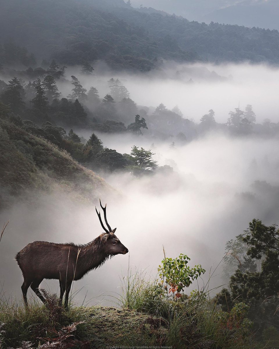 tokyocamerajp's tweet photo. リツイート＆いいね！大歓迎。東京カメラ部2022写真展 出展予定者の install_photography_ さんのご投稿作品。（出展作品とは限りません）
https://t.co/kMP2wF0gIn
#東京カメラ部2022写真展 #写真との出会いは世界との出会いだ https://t.co/imdWNksLFO