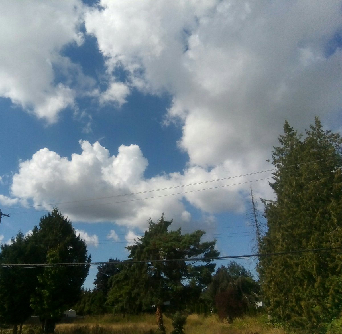 Yvette10090's tweet photo. It's a beautiful day 

#Sep5thpic #ThePhotoHour #StormHour @StormHour @ThePhotoHour #StormHourThemes @StormHourThemes https://t.co/DpnvdmJetg