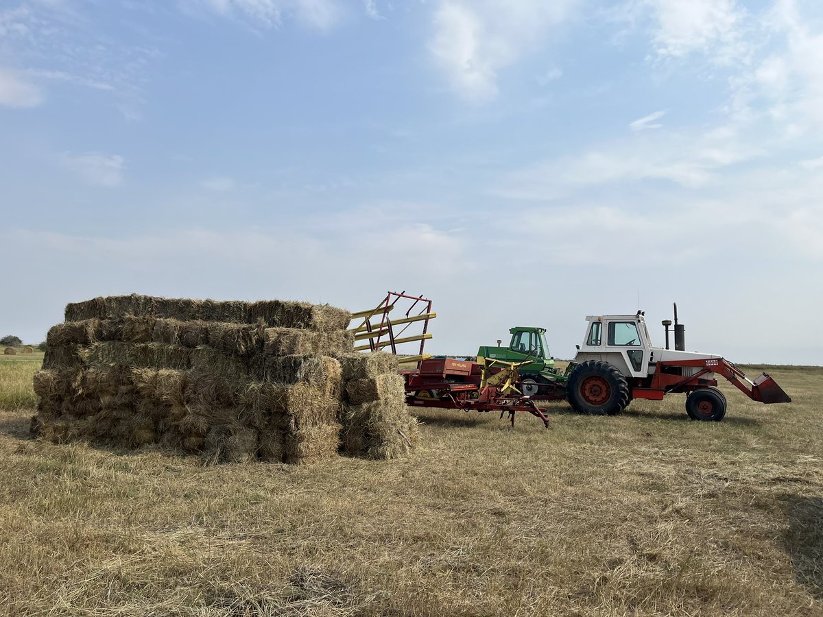 120 grass square bales for sale $5/each - funds will go to Saskatchewan First Nations Veterans Association.

One of their veterans, Mr. Earl Burns died protecting his family, I’d like to help them with the funeral costs.

Located near Penzance/Holdfast.