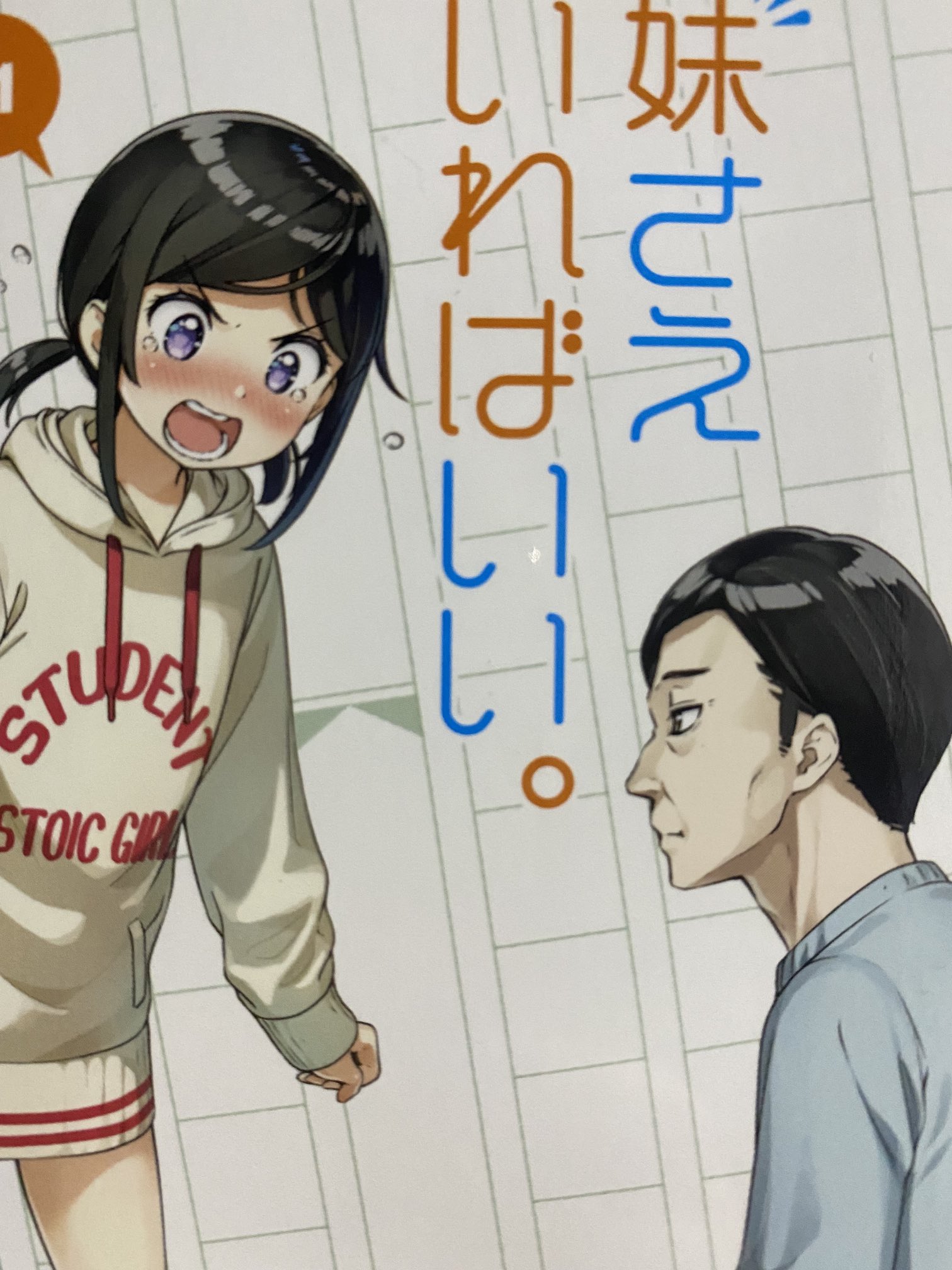 平坂読　妹さえいればいい。　サラダボウル　僕は友達が少ない　漫画　小説　セット 平坂読 妹さえいればいい。 サラダボウル 僕は友達が少ない 漫画