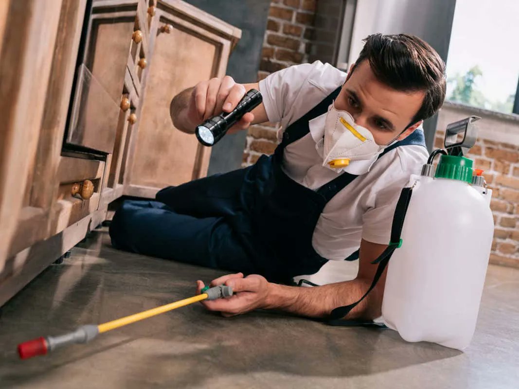 Barstool Sports tweet media