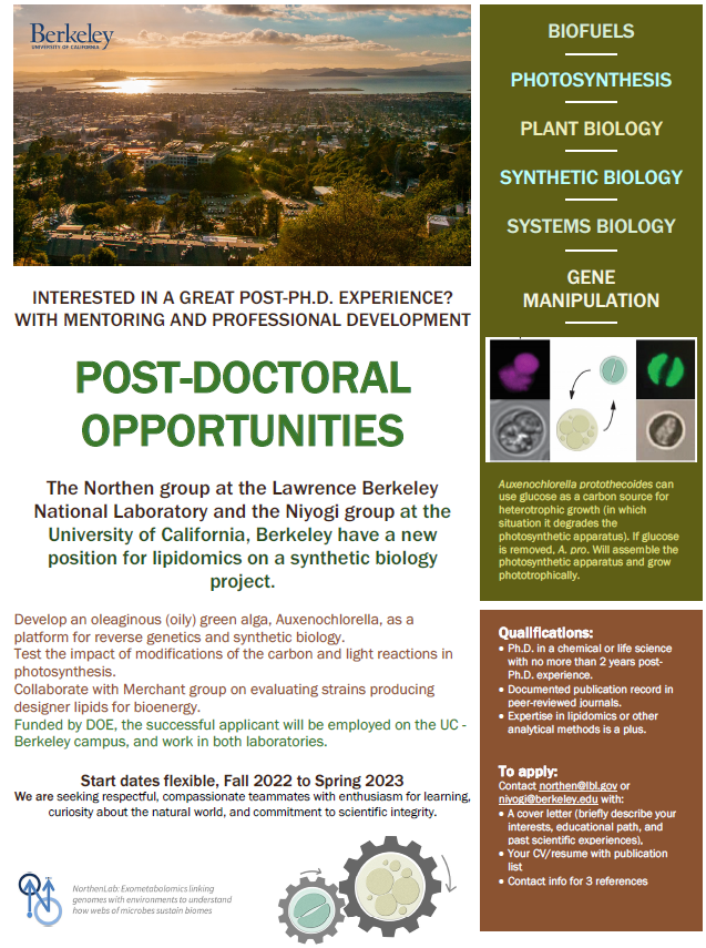 Our lab, in collaboration with the Niyogi and Merchant groups at UC Berkeley, is looking for a post-doc to use the EcoBOT (eco-fab.org), synthetic biology, and lipidomics to develop the alga, Auxenochlorella, for sustainable bioproducts.