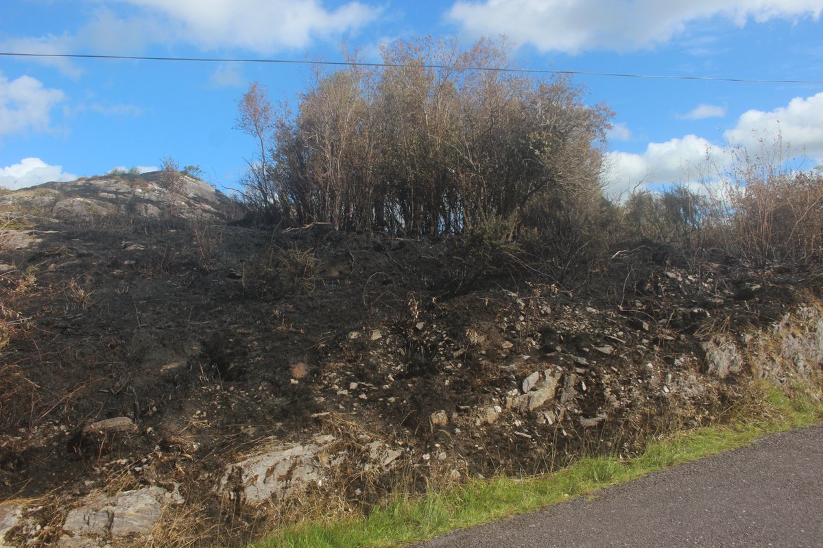 Warning: Don't drive around west cork if you are inclined to succumb to eco-anxiety. #CAP Basic farm payments drive habitat destruction. I'm starting to document this to counteract the otherwise feeling of helplessness! #biodiversitycrisisireland