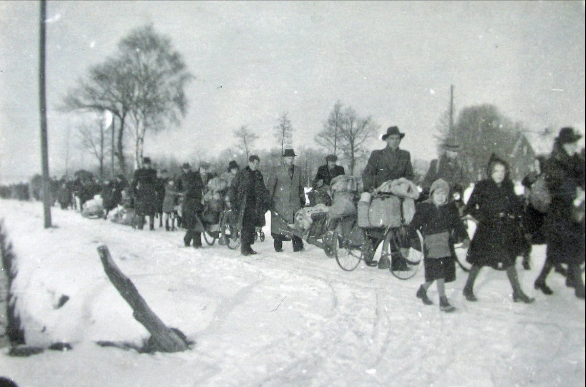 TomDoesborg tweet media