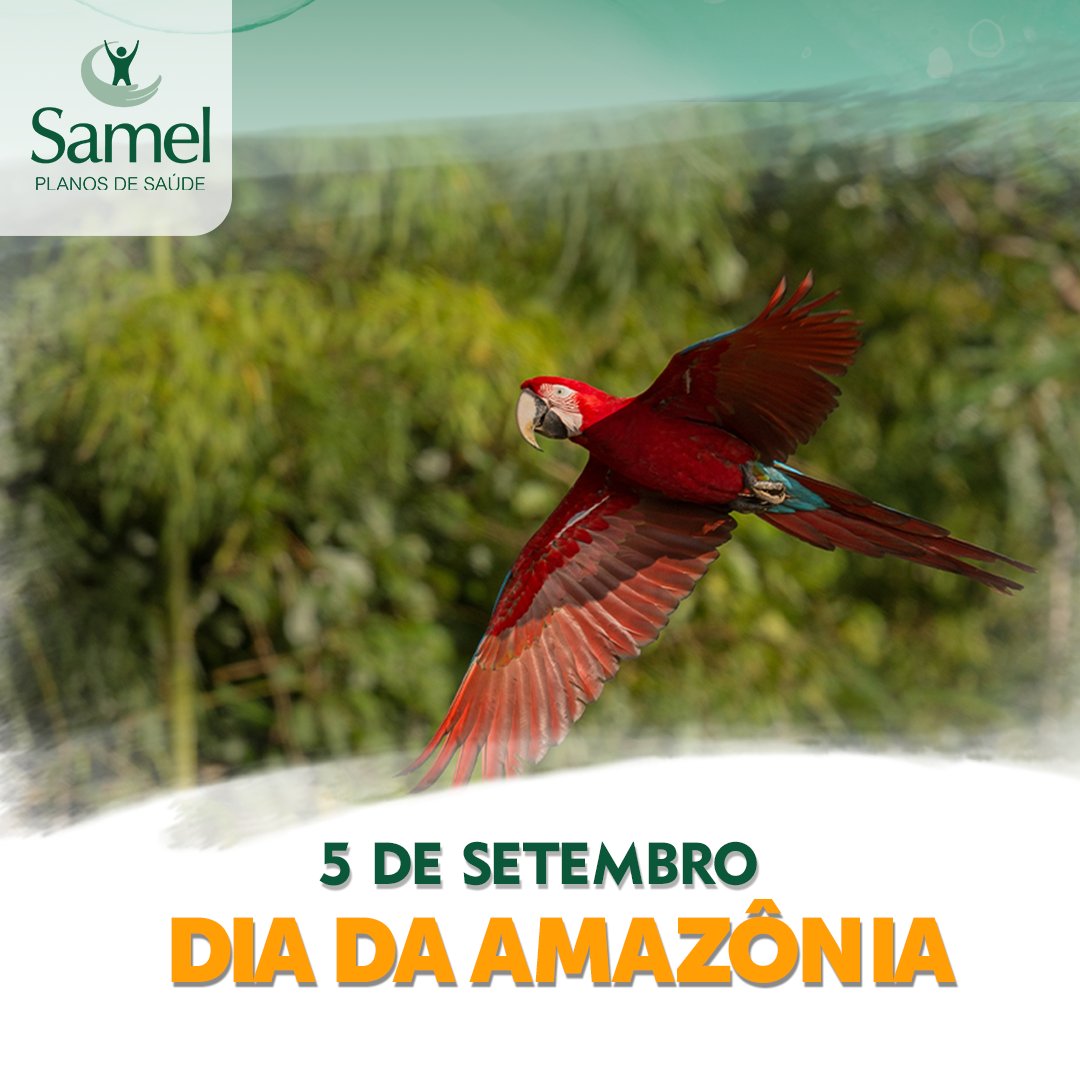 OficialSamel's tweet photo. Hoje, 05/09, é o dia da Amazônia e em sua riqueza está nossa vida. 🌳
#diadaamazonia #pulmaodomundo #samel #planodesaudesamel https://t.co/HNyRw4yl7X