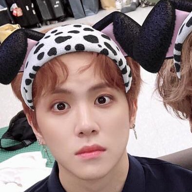 🐶 (@dhanfiles) on Twitter photo 