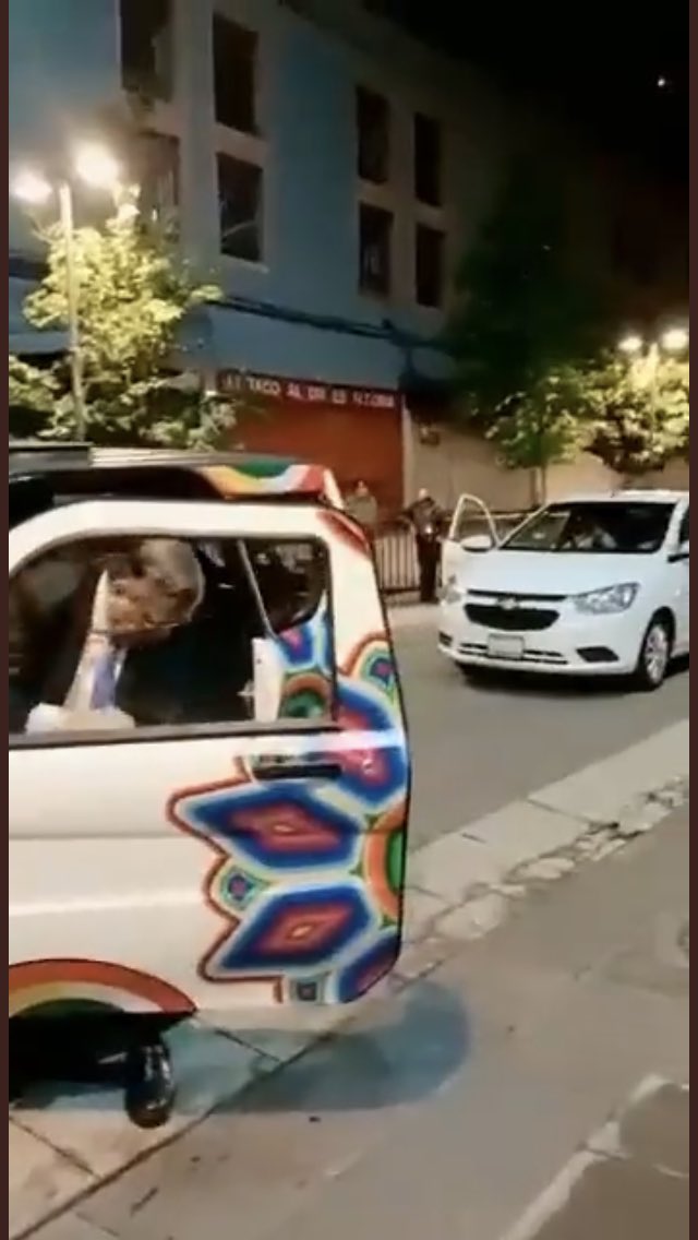 Martha Zamarripa R.💙 tweet media