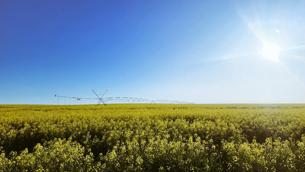 Dano Urani tweet media