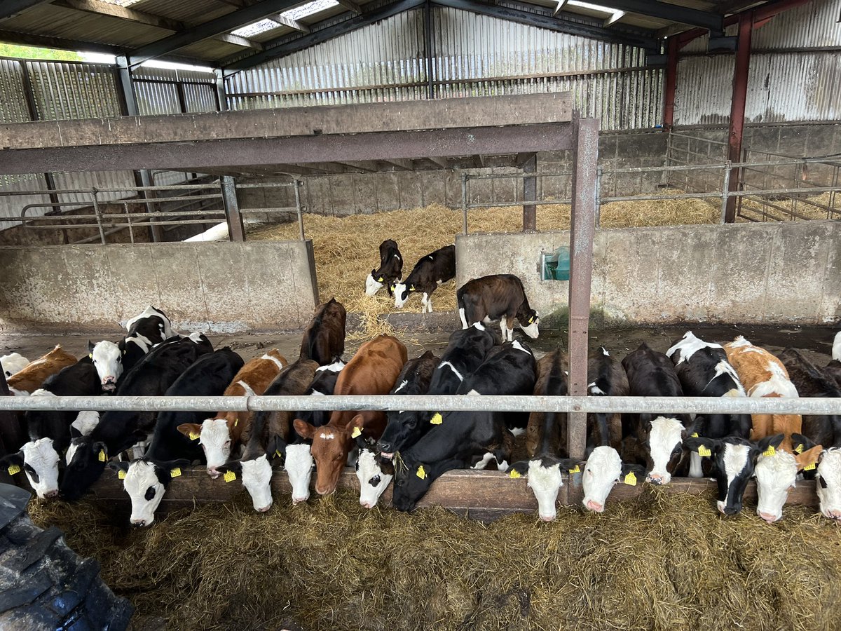 Kevin o Hanlon tweet media