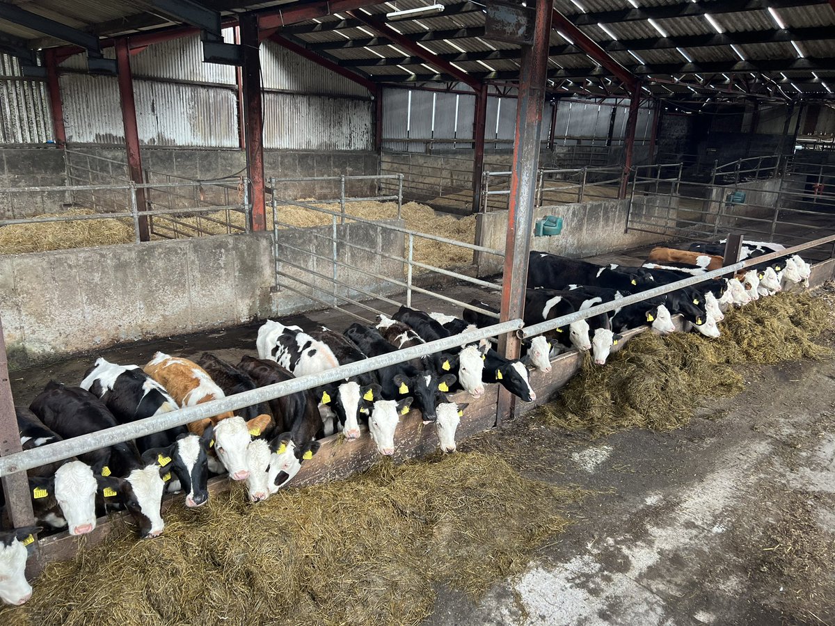 Kevin o Hanlon tweet media