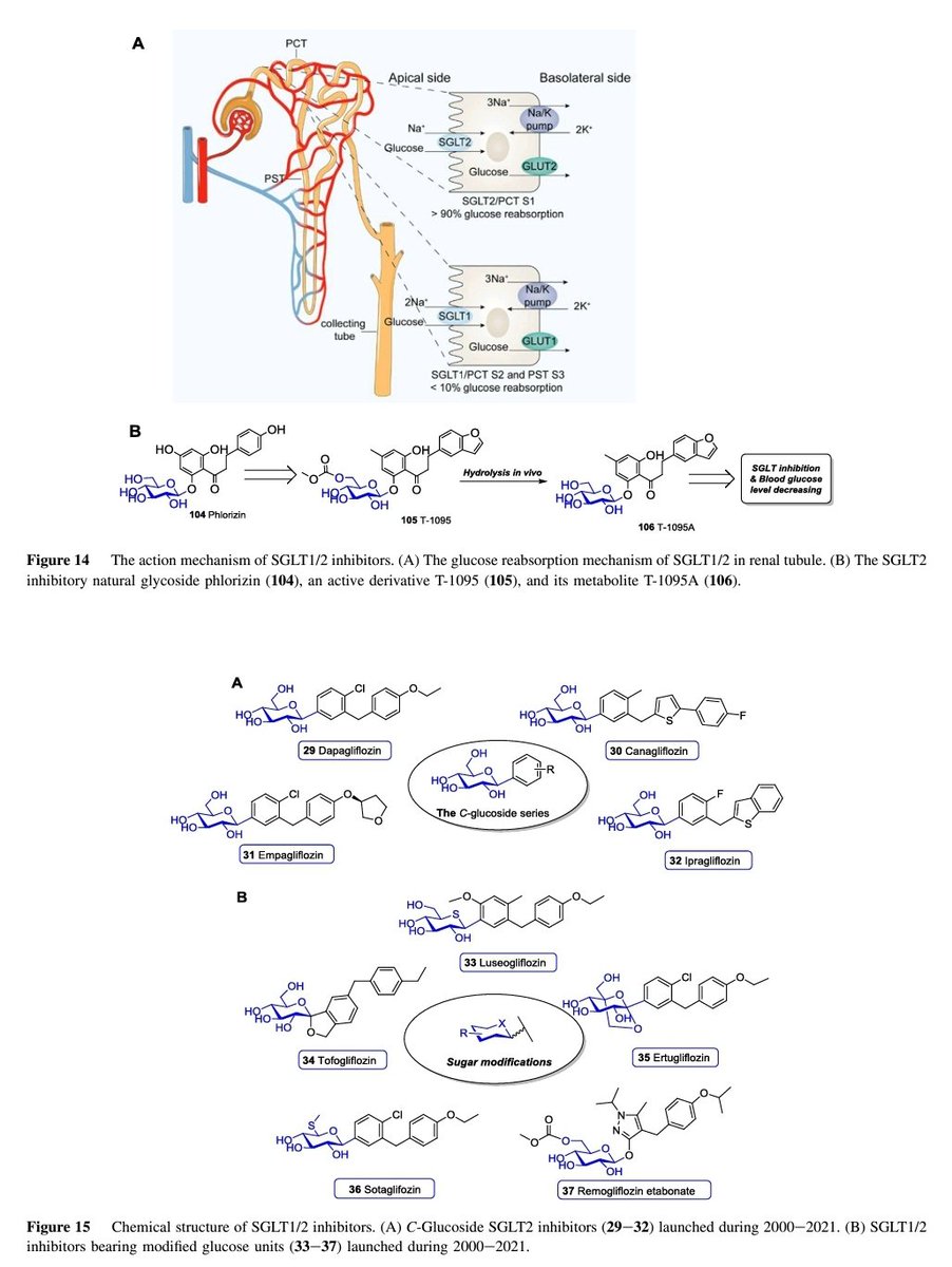 AsAshraf123321's tweet photo. #glycotime
During 2000 to 2021, totally 54 carbohydrate-based drugs have been approved as drugs or diagnostic agents. Here, we provide a comprehensive review on the chemical structures, activities &amp; clinical trial results of these carbohydrate-based drugs!
https://t.co/Yqv4Cc2LkW https://t.co/rE3ewiqses