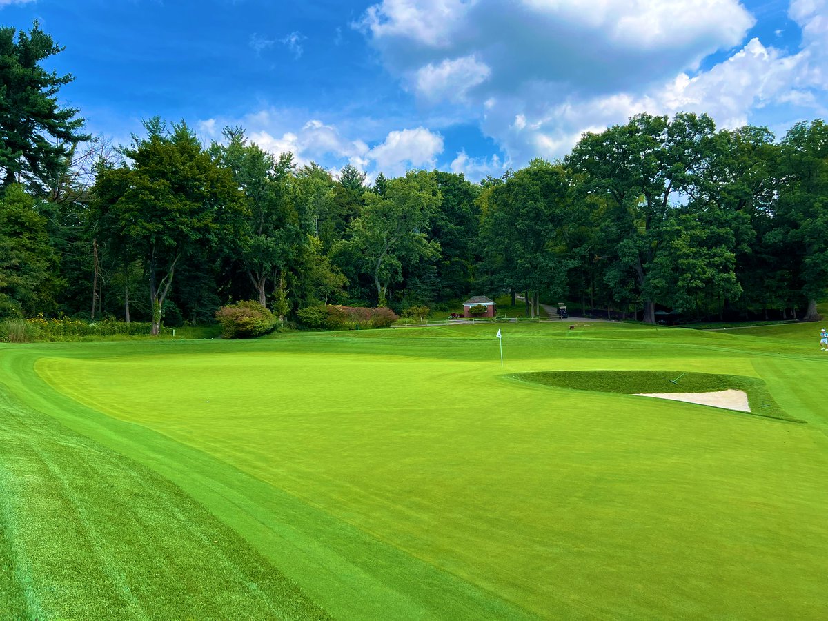 Joe Arnold tweet media