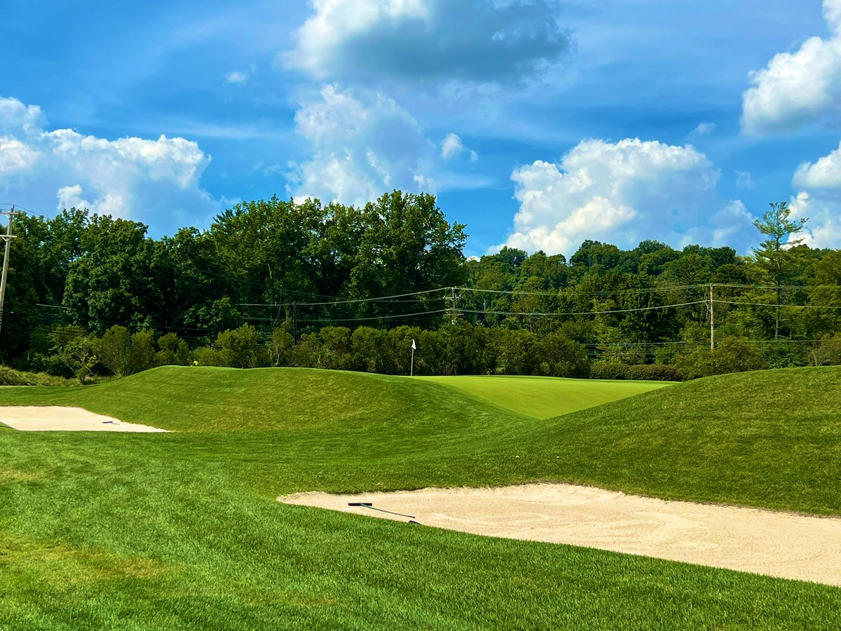 Joe Arnold tweet media