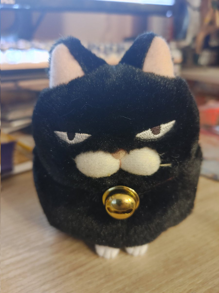 Chubby cat plushiest with small feet are my weakness