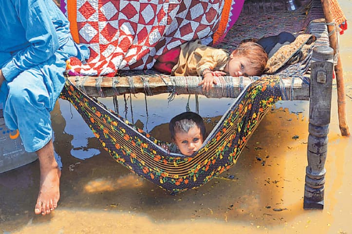 Tabinda Hussain (@tabihussain) on Twitter photo This image from the recent floods in my home country,Pakistan is heart-breaking. Floods have uprooted lives of >33 million.NGOs are providing much needed help,Pls RT & donate at: 
edhi.org.au/donation
alkhidmat.org
Or to gofundme, WFP. A little help goes a long way This image from the recent floods in my home country,Pakistan is heart-breaking. Floods have uprooted lives of >33 million.NGOs are providing much needed help,Pls RT & donate at: 
edhi.org.au/donation
alkhidmat.org
Or to gofundme, WFP. A little help goes a long way
