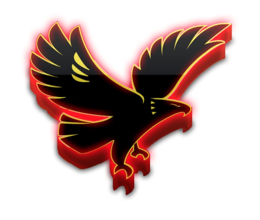 طبعا يشرفني اشترك في الهاشتاج ده لأن أى حد اهلاوي يشرف متابعته