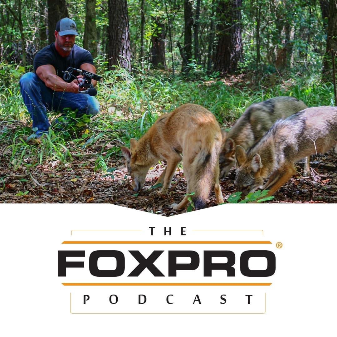 FOXPROInc's tweet photo. Torry Cook of MFK Game Calls discusses coyote vocals and his experiences raising coyotes. You don’t want to miss this one!
Listen-> https://t.co/iGugowLagY https://t.co/IIT8YUGjYx