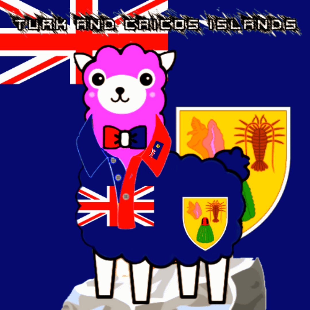 World_of_llamas's tweet photo. Tribute to all countries on planet earth. 
TURK AND CAICOS ISLANDS Patriot Edition PT-33
https://t.co/QPJwMFEvlz

#nft #nftart #nftartist #nftcollector #nftcommunity #cryptoart #critoartist #polygon #nflplayoffs #nftdrop #nftartworks #turkandcaicosislands #turkandcaicosislandnft https://t.co/Wp51dZ0GxF