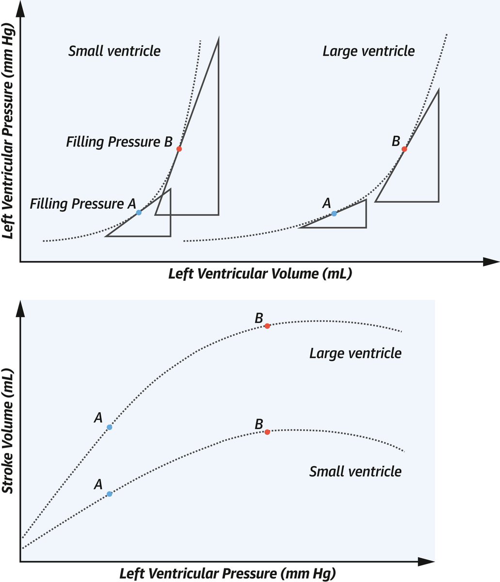 Henry Han tweet media