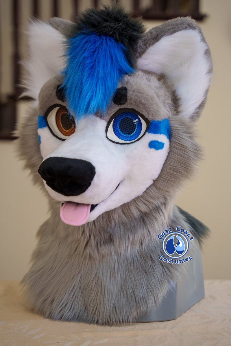 LuciusGoat's tweet photo. @finbunn I make fursuits!!! (Over at @GoatCoastCO ) https://t.co/YBnubO8spB