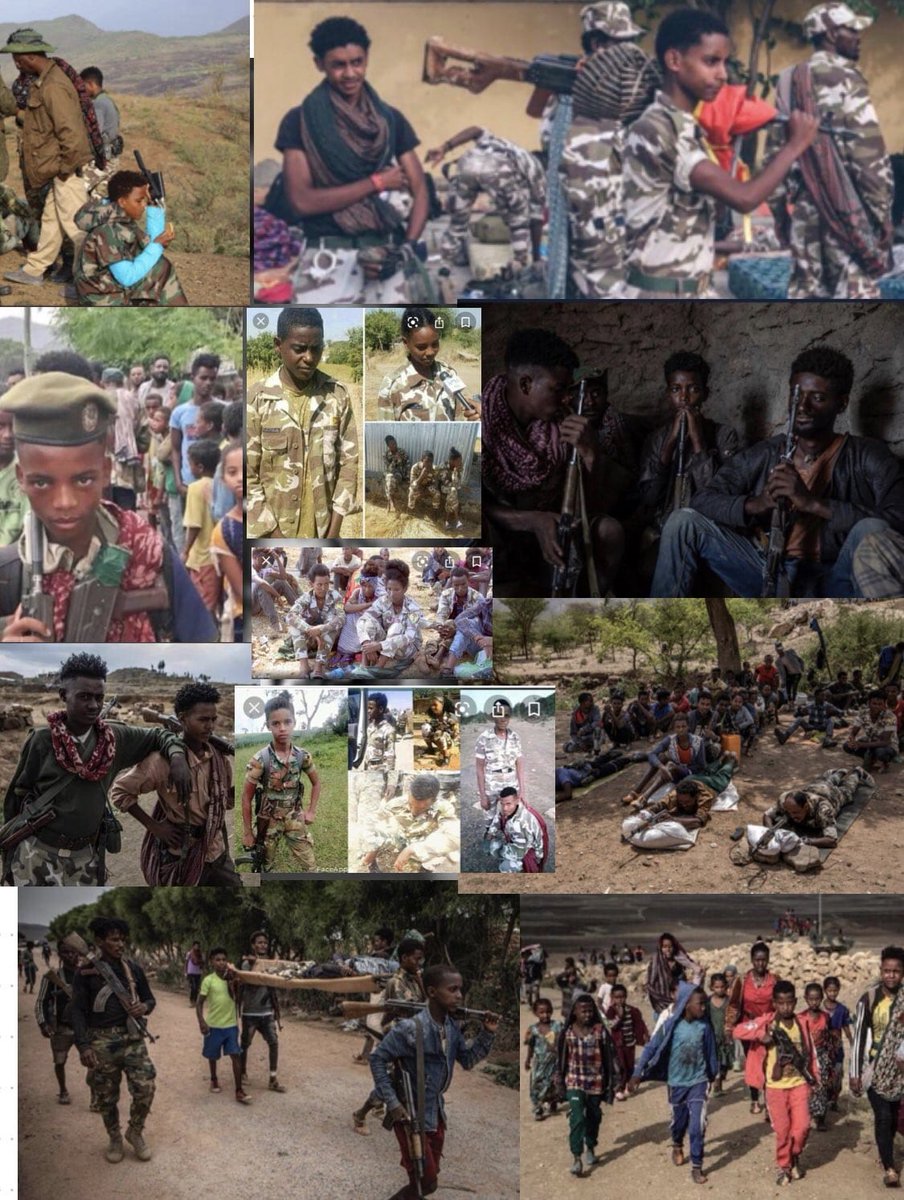 The ICHREE report on human rights violations in Ethiopia following the conflict in Northern Ethiopia is preplanned &amp; politically motivated, failing to serve the purpose of holding perpetrators accountable. #TPLFisTheCause  #DisarmTPLF