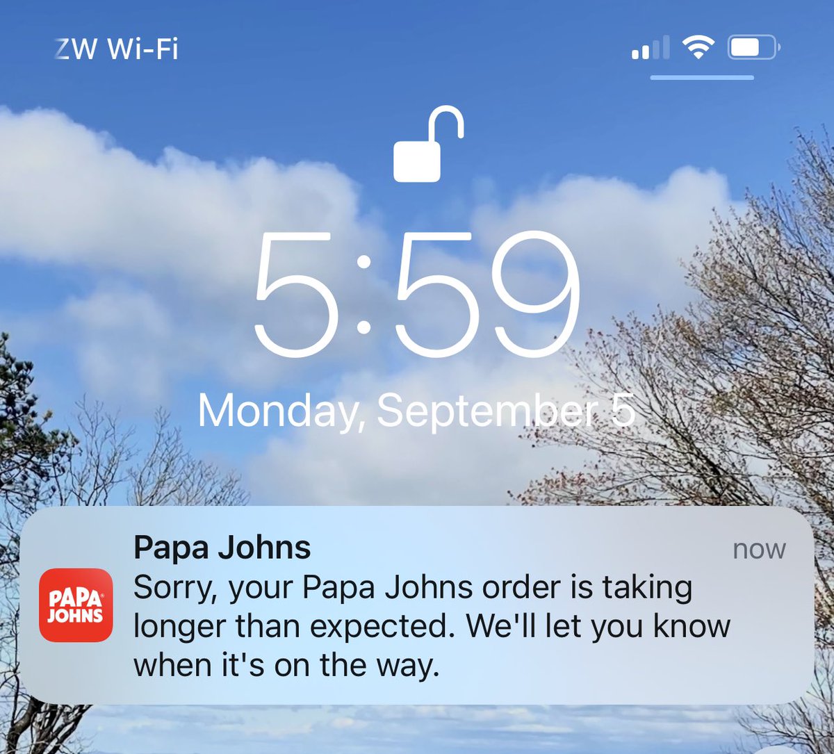 i·ro·ny (noun) When a business delivers a terrible experience, then asks you for another chance, gives you a code for a free pizza and then you get this message. <a href="/PapaJohns/">Papa Johns</a> #somanyotheroptions