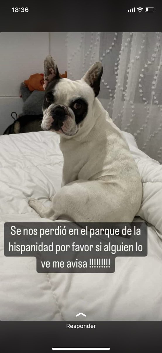 AGUSS (@agussgonza17) on Twitter photo 