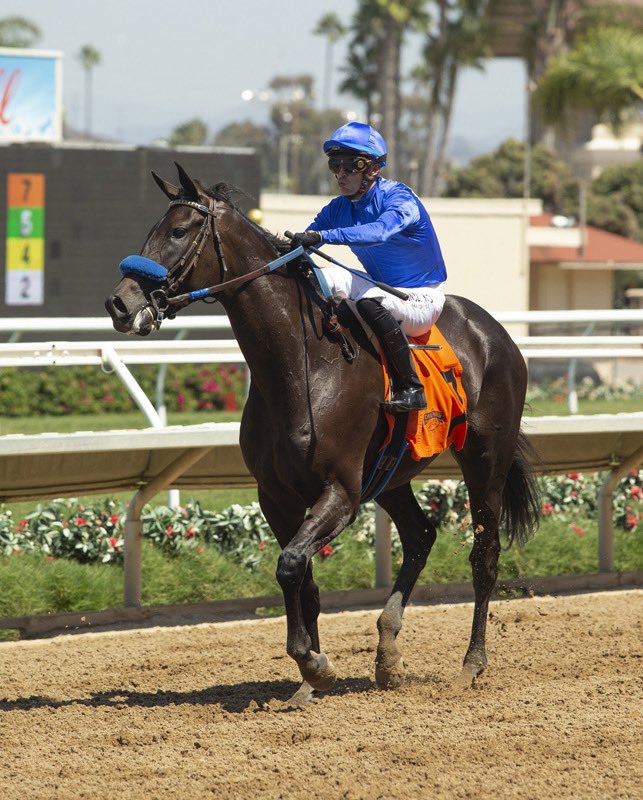 sadlerracing's tweet image. Kirstenbosch took the win in race 2 today @DelMarRacing #sadlerstyle #wiretowire Congrats to our amazing owner and breeder  Keith Abrahams.
And a huge thank you to our team! @johnwsadler @JuanLeyva1984 @NathalieDarley