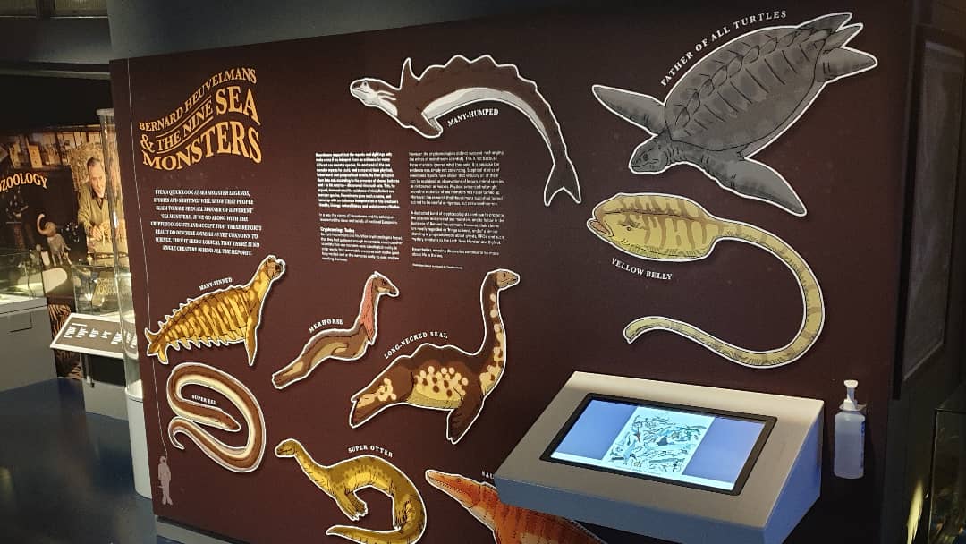 Darren Naish tweet media