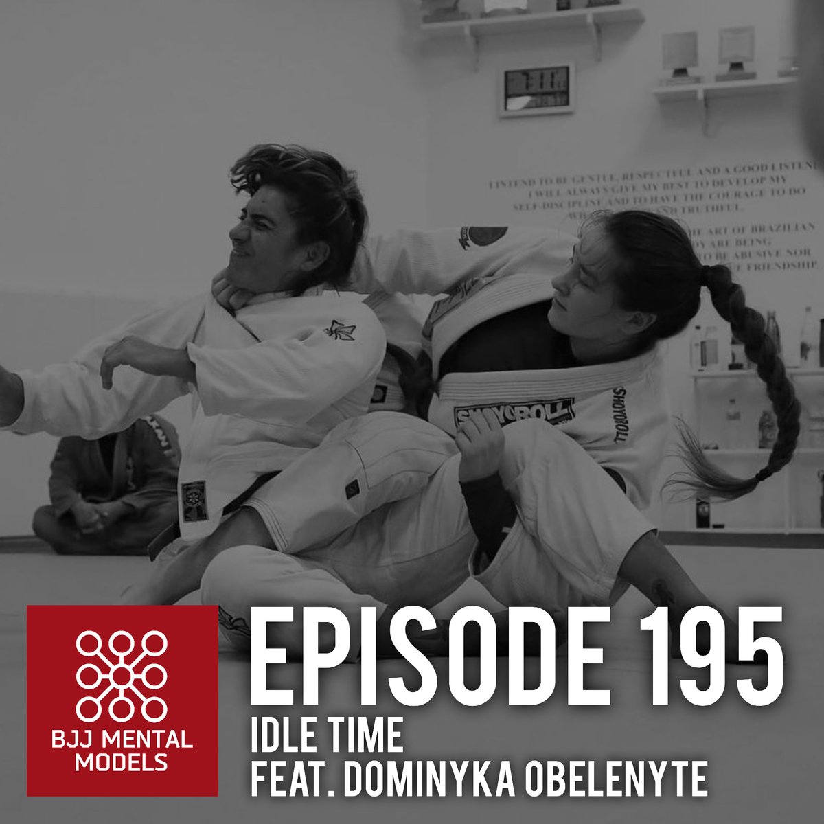BJJ Mental Models tweet media