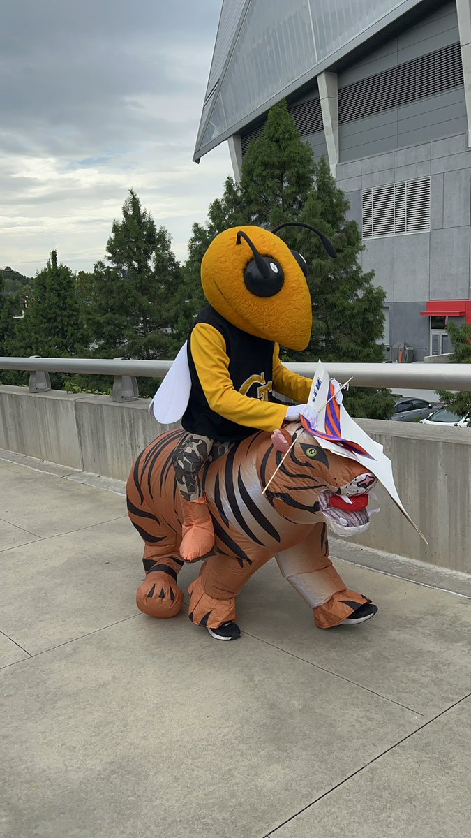 PatienceSatty's tweet photo. We’re here babyyy 🐝🐝🔥🔥 #TogetherWeSwarm #GoJackets #ChickfilaKickoff https://t.co/Cg3USBu8HJ