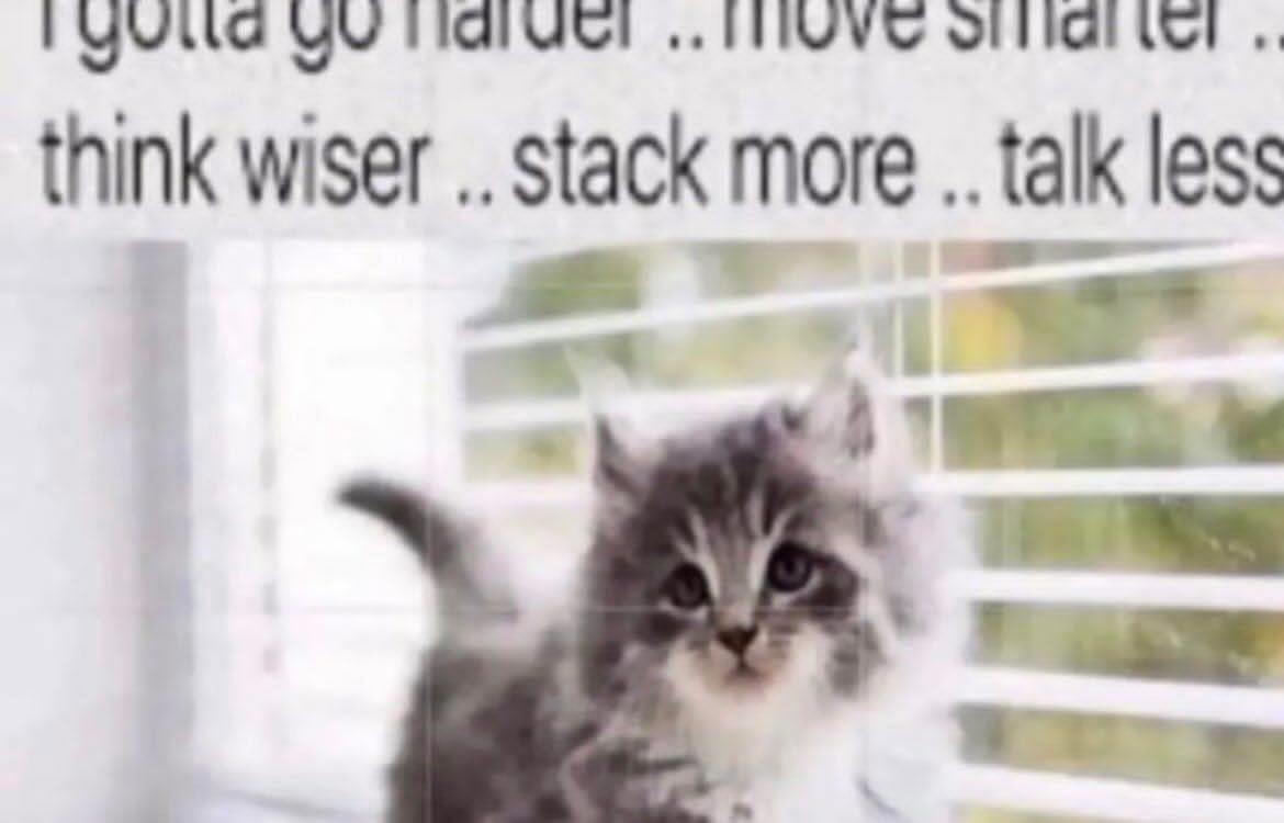 ipbuddy's tweet photo. go harder ..move smarter ..think wiser ..stack more ..talk less https://t.co/VRdfdBqLt8