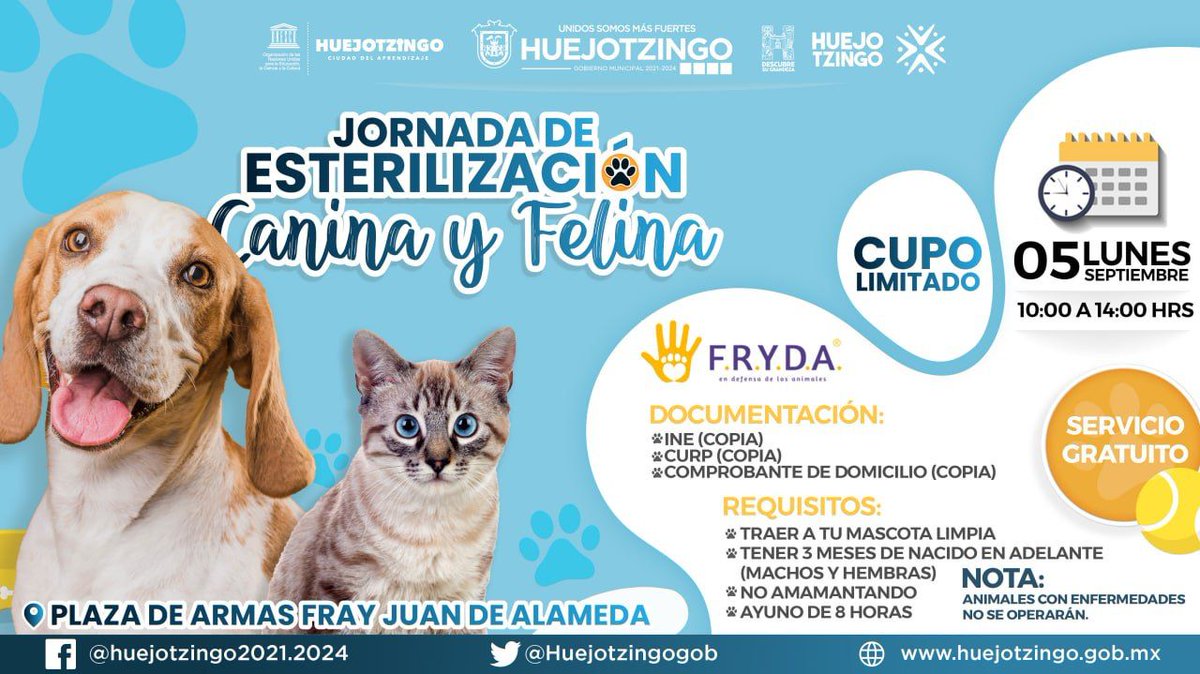 FRYDApuebla's tweet photo. Jornada de #Esterilización #Gratuita en #Huejotzingo . Gracias a los habitantes por sumarse, pese a las inclemencias del tiempo acudieron puntuales con sus #Mascotas 💛💜💛💜
@Huejotzingogob
#Esteriliza
#FRYDA 💛💜 https://t.co/rbUHGAo1kK