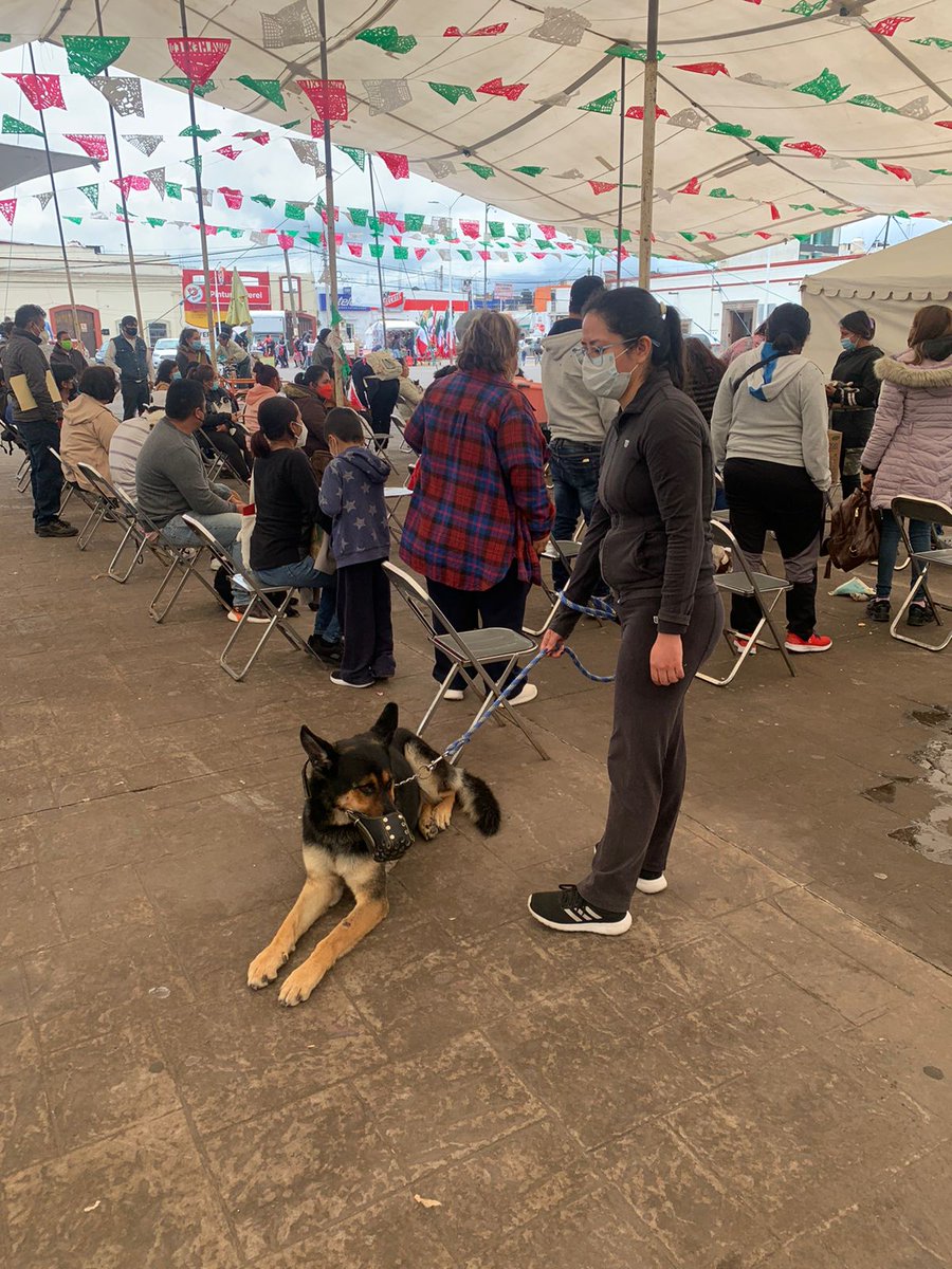 FRYDApuebla's tweet photo. Jornada de #Esterilización #Gratuita en #Huejotzingo . Gracias a los habitantes por sumarse, pese a las inclemencias del tiempo acudieron puntuales con sus #Mascotas 💛💜💛💜
@Huejotzingogob
#Esteriliza
#FRYDA 💛💜 https://t.co/rbUHGAo1kK