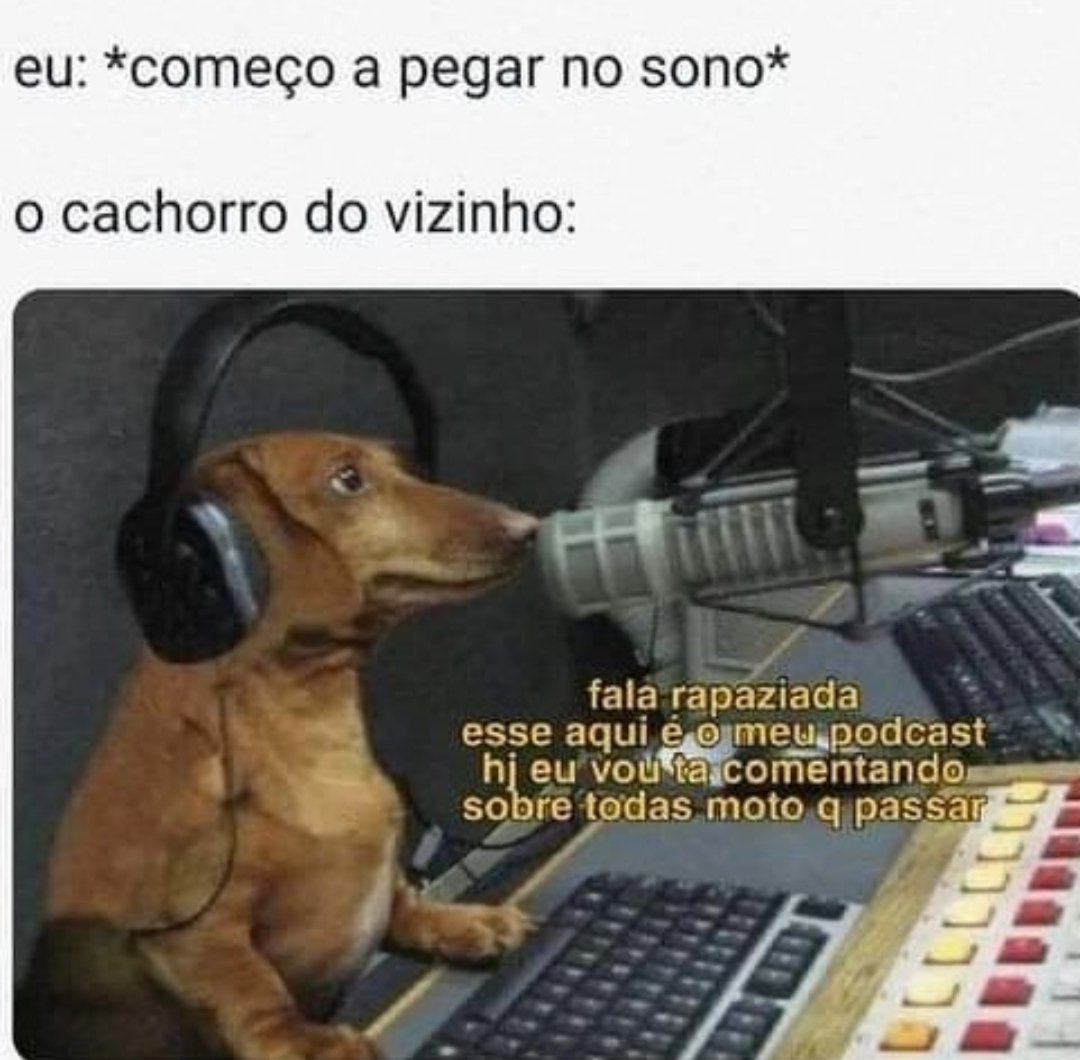 Shitpost só que de verdade (@shitpostverdade) on Twitter photo 