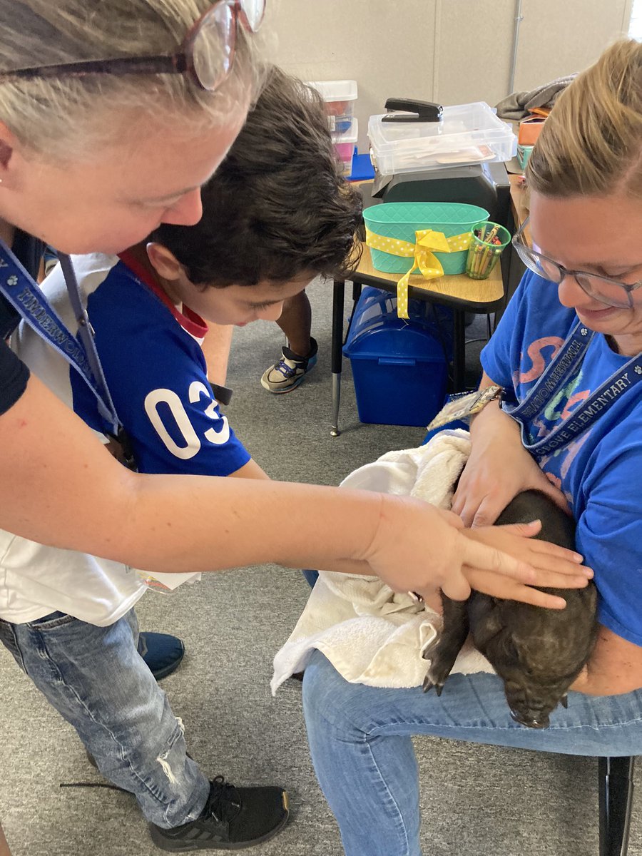 yesmyrealnamei2's tweet photo. We met a pig! #SPEDCDC #CGERocks @CGETwolves https://t.co/8MZm3HIQ0a