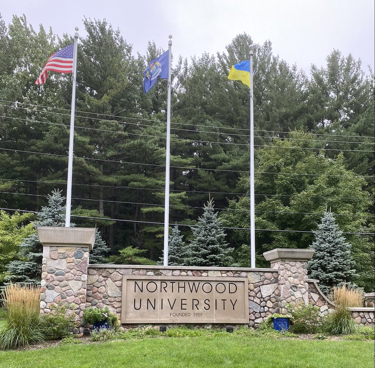 Murray Kyte tweet media